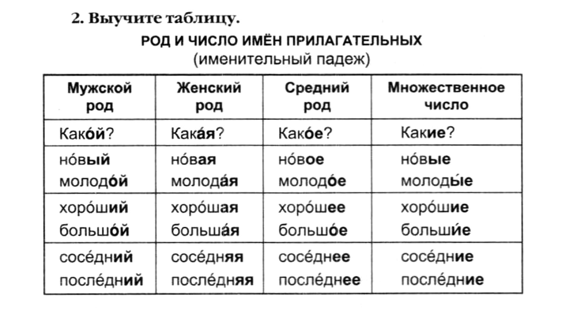 Видео курс РКИ: Род и число имён прилагательных